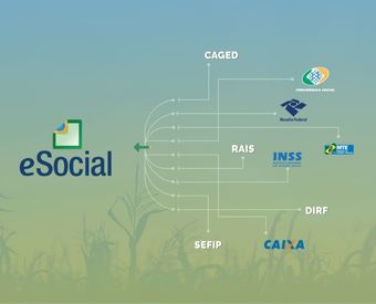 eSocial